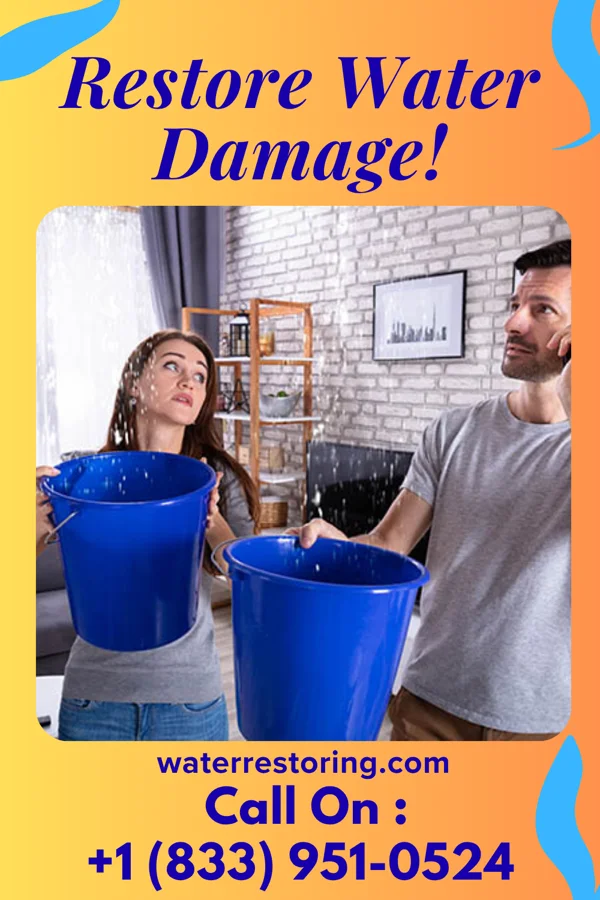 water restoration National Flood Force Essex Junction
