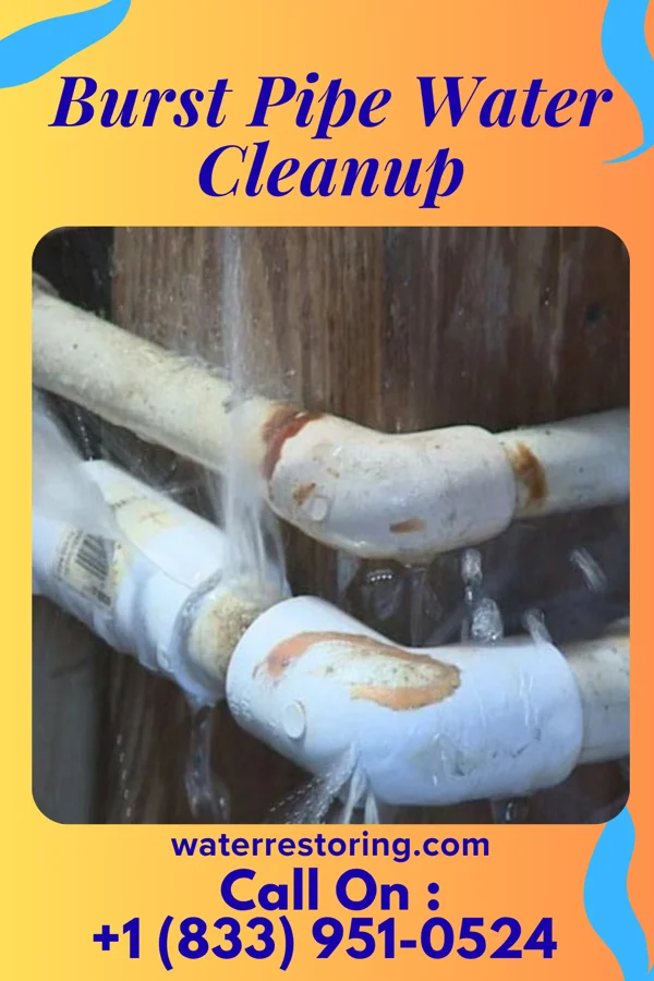 Burst Pipe Water Cleanup in Essex Junction, VT