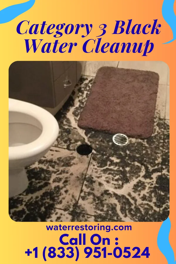 Category 3 Black Water Cleanup in Essex Junction, VT