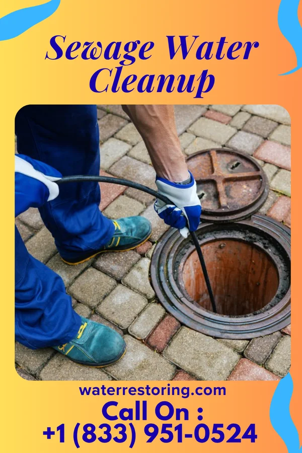 Sewage Water Cleanup in Essex Junction, VT