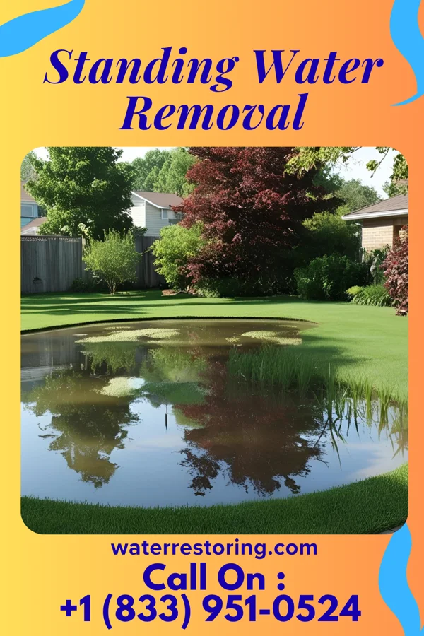 Standing Water Removal in Essex Junction, VT